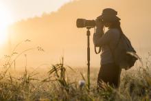 Nabór Fotografii Przyrodniczo-Leśnej 2020