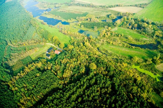 &#x22;Obszar&#x20;specjalnej&#x20;ochrony&#x22;&#x20;Programu&#x20;Natura&#x20;2000&#x20;-&#x20;Leśnictwo&#x20;Karczemka