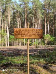 Kolejne 1000 drzew rośnie w lasach Balczewa!