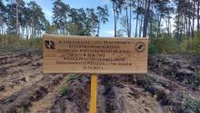Sadzenie lasu z Kujawsko-Pomorskim Funduszem Pożyczkowym