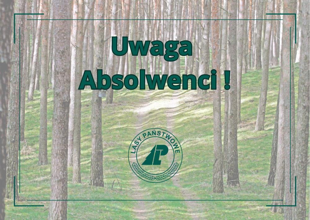 uwaga&#x20;absolwenci