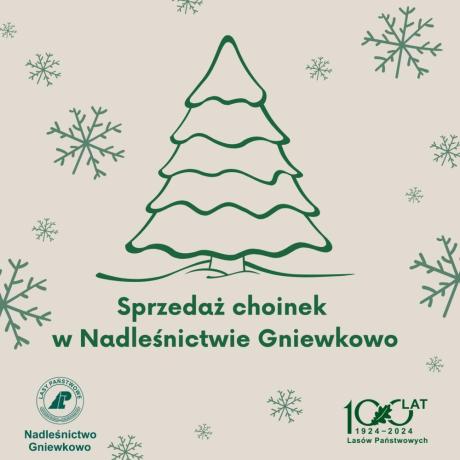 Sprzedaż choinek - Nadleśnictwo Gniewkowo