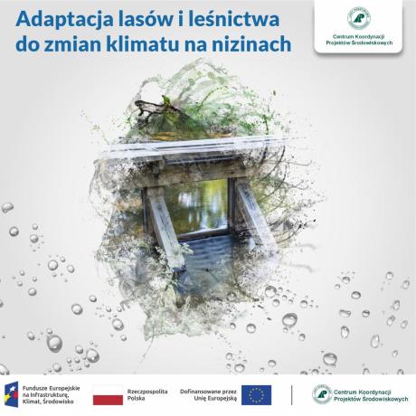 Kompleksowy projekt adaptacji lasów i leśnictwa do zmian klimatu – mała retencja oraz przeciwdziałanie erozji wodnej na terenach nizinnych – kontynuacja (MRN3)